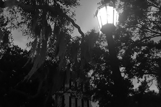 Tour image 9