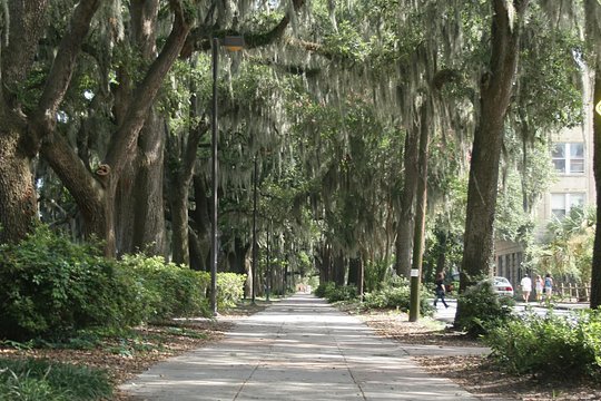 Tour image 4