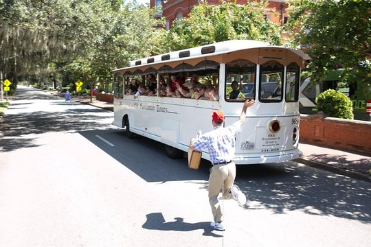 Tour image 8