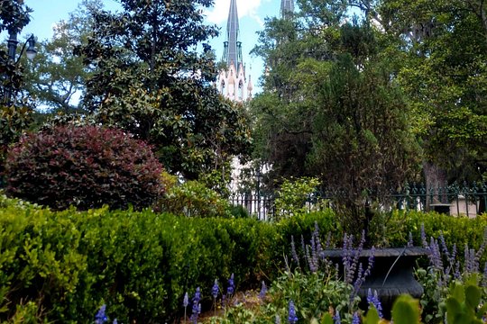 Tour image 5