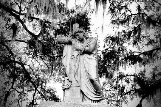 Tour image 10
